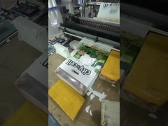 Sacos de plástico de compras impressos sob medida